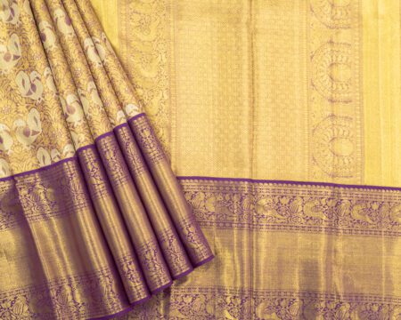 Kanchi Tissue Pattu