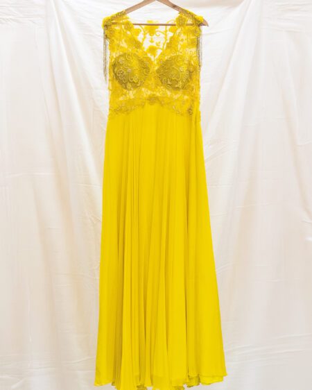 Net and Georgette gown