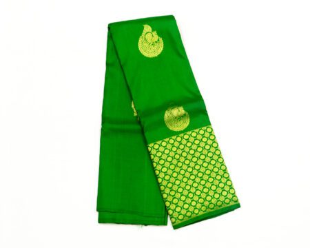 Green Kanchipuram silk saree