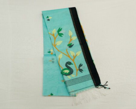 organza jamdhani saree