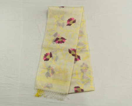 organza jamdhani saree