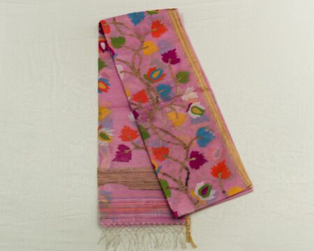 organza jamdhani saree