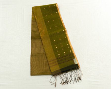 organza jamdhani saree