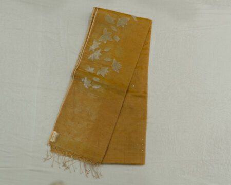 organza jamdhani saree